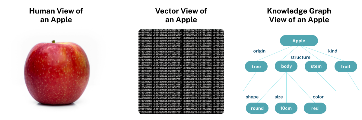 An apple: human view vs. vector view vs. knowledge graph view.